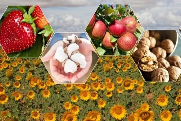 Tarımda zor yıl beklentisi! Bitkisel üretimde düşüş bekleniyor