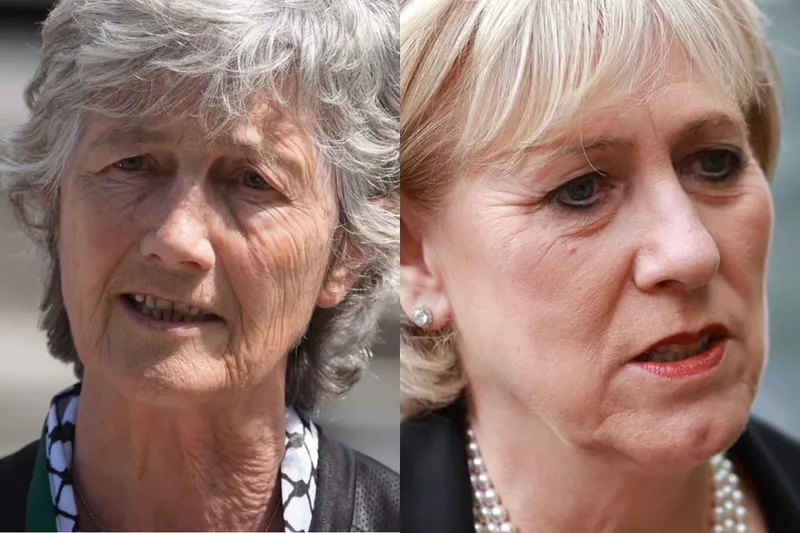 İrlanda yeni cumhurbaşkanını seçecek