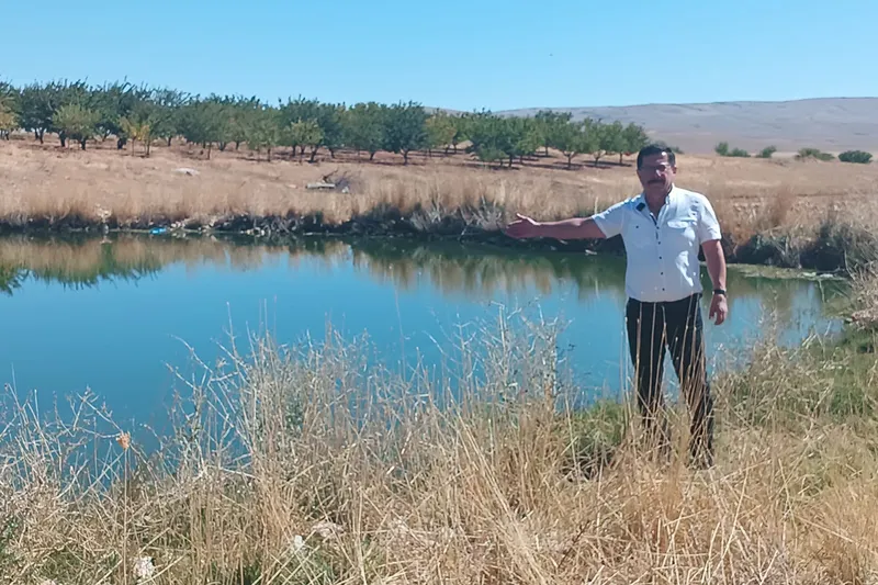 Mahalle sakinleri zehir saçan gölete acil çare bulunmasını istiyor