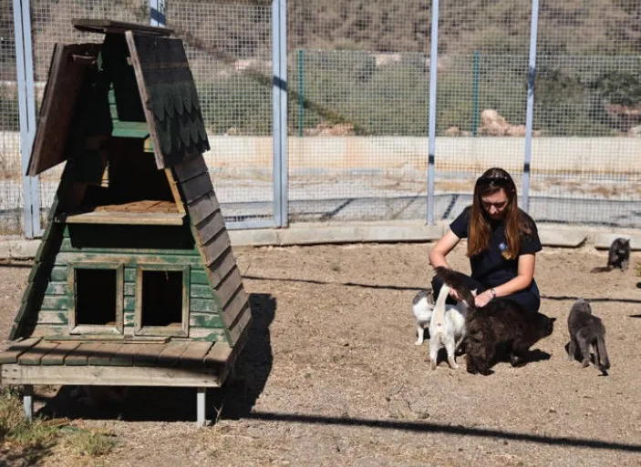 Büyükşehir, Patili Dostlara Sahip Çıkıyor