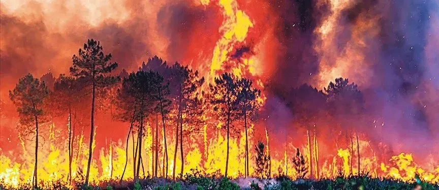 Dünya Yanıyor, Lüks Arabada Klima Açanlar Var