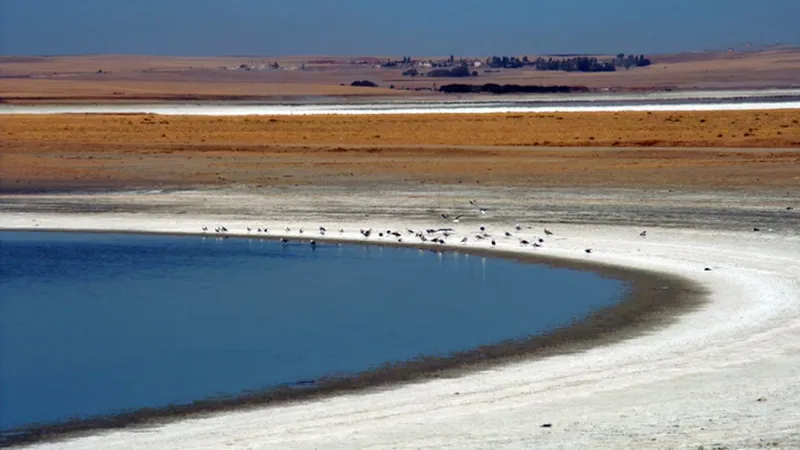 Tuz Gölü’nde kuraklık biyolojik çeşitliliği tehdit ediyor