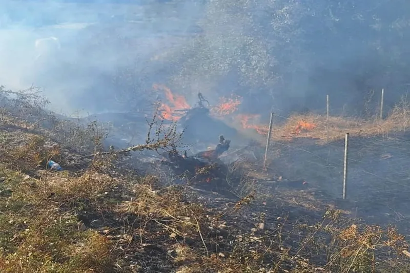 Bingöl’ün Genç ilçesinde çıkan yangın büyümeden söndürüldü