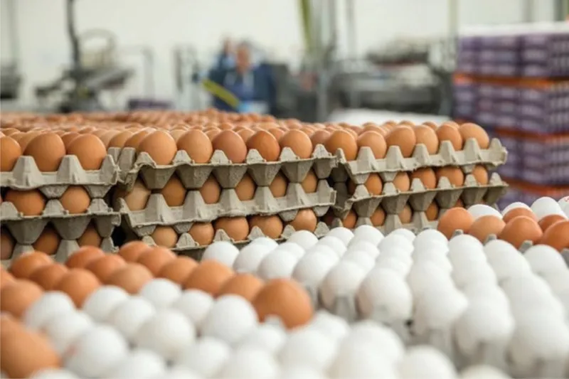 Yumurta tüketiminde sık yapılan 5 büyük hata