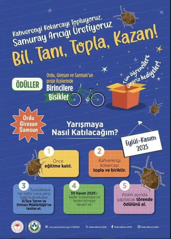 Tehlikeli Böcekleri Topla, Bisiklet Kazan: Bakanlıktan Garip Yarışma