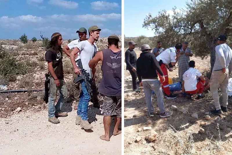 Siyonist çeteler zeytin toplayan Filistinlilere saldırdı