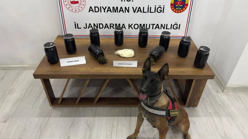 Kahta’da uyuşturucu operasyonu: 6 kilo esrar ele geçirildi 