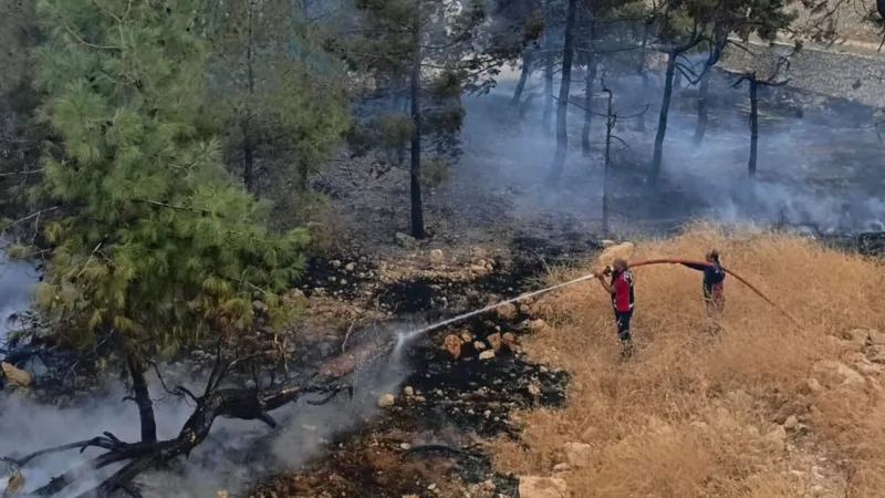 Besni’de fabrika bahçesinde çıkan yangın kısa sürede söndürüldü  - Videolu Haber