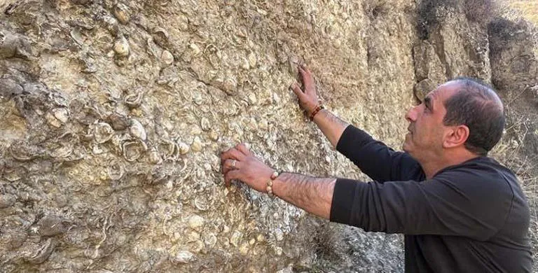 Erzurum’da 200 Milyon Yıllık Deniz Fosilleri Bulundu: Kayadan Sökemediler!