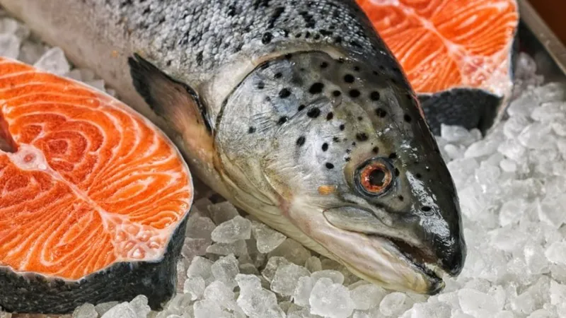 Artvin’den 67 ülkeye Türk somonu ihracatı