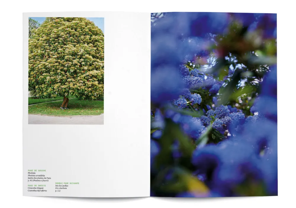 Karşılaşmanın Meyveleri