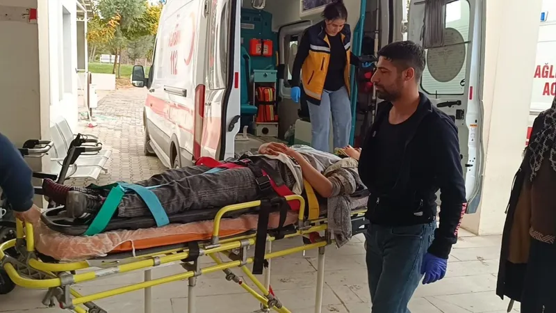 Besni’de otomobil şarampole devrildi: 5 yaralı  - Videolu Haber