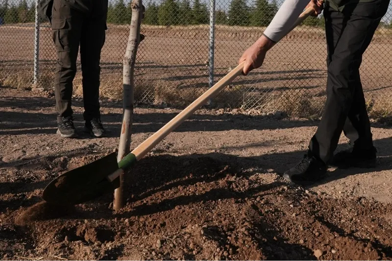 OGM: 30 milyon fidan sahiplenildi