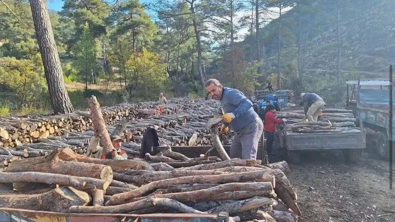 Sarıbelen’de yakacak odun dağıtımı tamamlandı