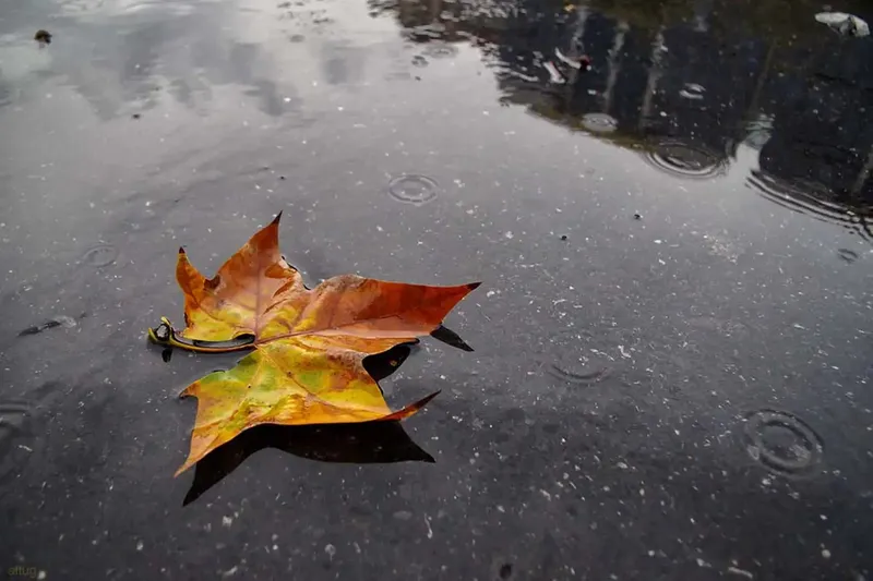 Batıda yağış, iç kesimlerde sis bekleniyor