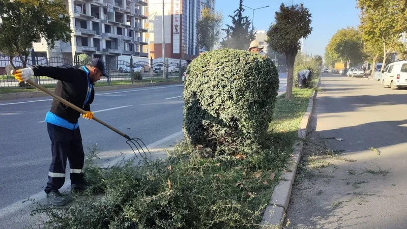 Adıyaman Belediyesi’nden kış öncesi ağaç budama ve bakım çalışması  - Videolu Haber