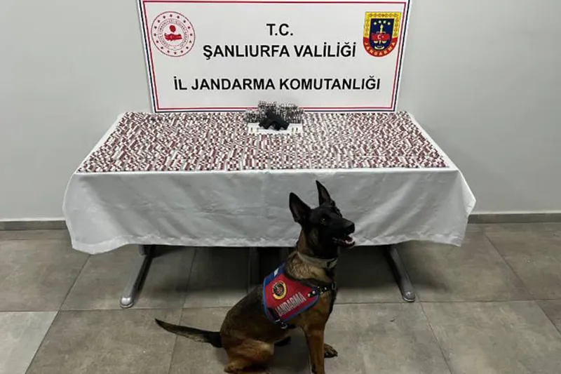 Şanlıurfa’da uyuşturucu operasyonunda sentetik ecza ve silah ele geçirildi