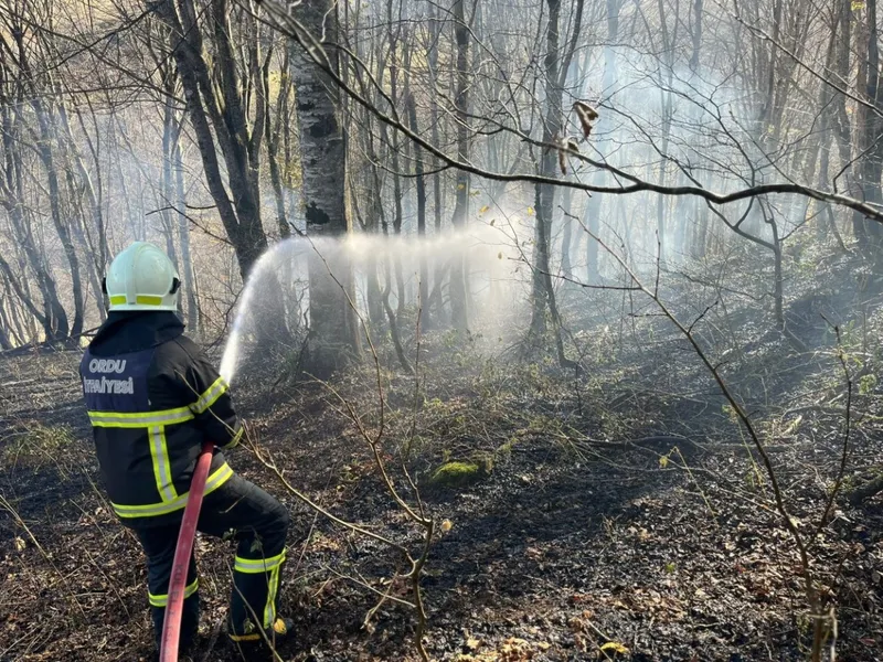 Ordu’da son bir haftada 40 yangın çıktı