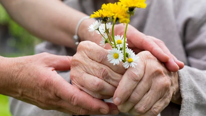 Engelli ve yaşlılara kasım ayında 7,11 milyar liralık destek