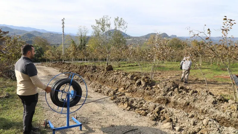 Finver’de damlama sulama dönemi