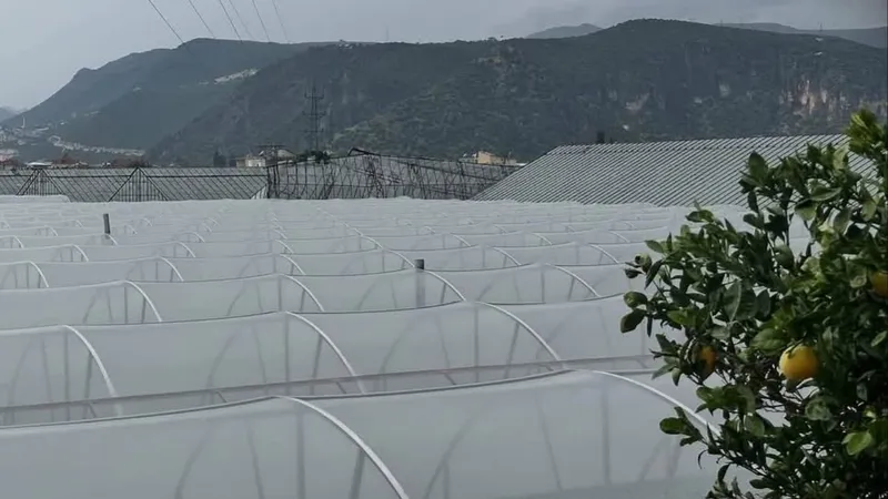 Antalya Demre’de hortum seraları vurdu