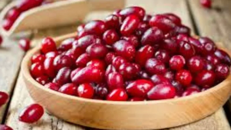 Grip ve soğuk algınlığına karşı kızılcık öne çıkıyor 