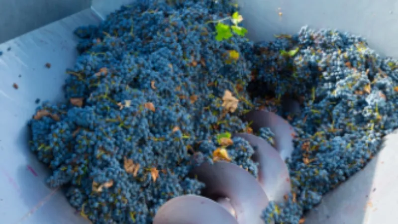 Adıyaman’da üzüm sıkma makinesi dağıtımı için başvurular başladı 