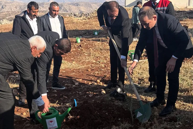 Şırnak’ta çiftçilere 4 bin zeytin fidanı dağıtıldı