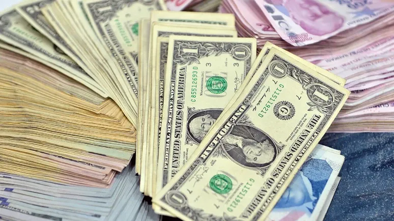 11 Şubat 2025 döviz fiyatları...