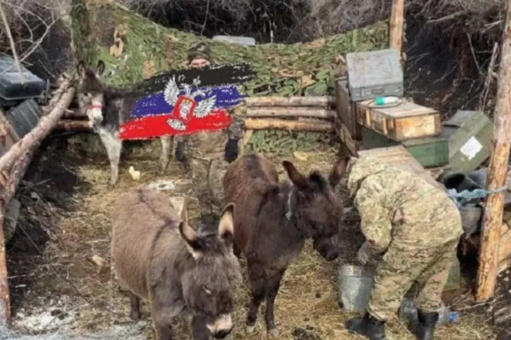 Rusya, Ukrayna cephesinde umudunu 