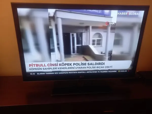 BAŞIBOŞ ve VAHŞİ KÖPEKLERE KARŞI HALKIN CAN GÜVENLİĞİ SAĞLANSIN! 