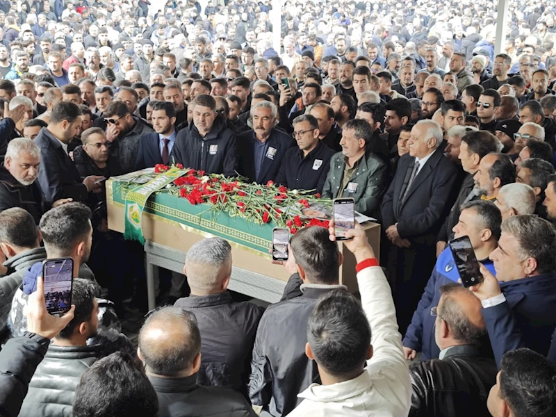 Binlerce Mıçe dostu Kahta