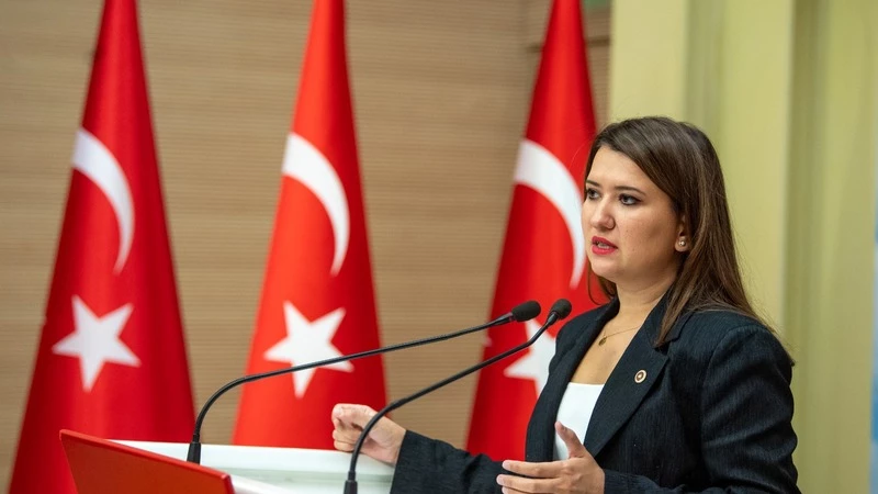 CHP’li Gökçe Gökçen: 