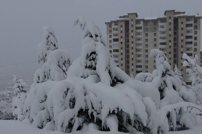 Malatyalılar: Kar rahmet ve berekettir