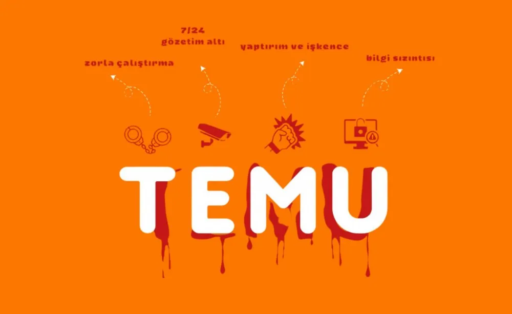 Çinli “TEMU” ve Arka Görünüşü