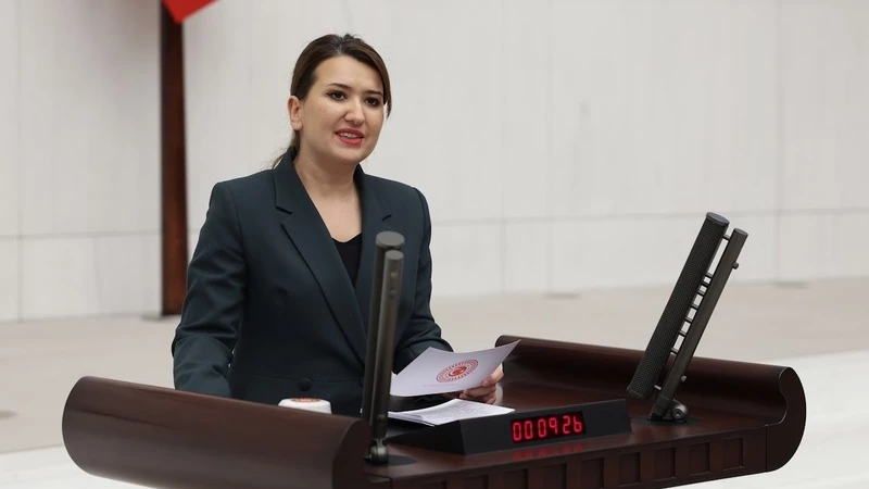 CHP’li Gökçe Gökçen’den Bakan Göktaş’a 