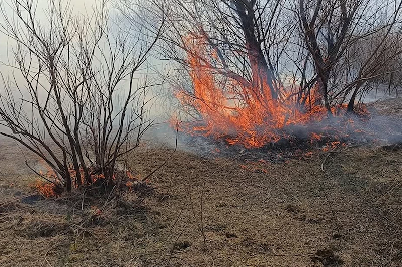 Bingöl’de yangın paniği