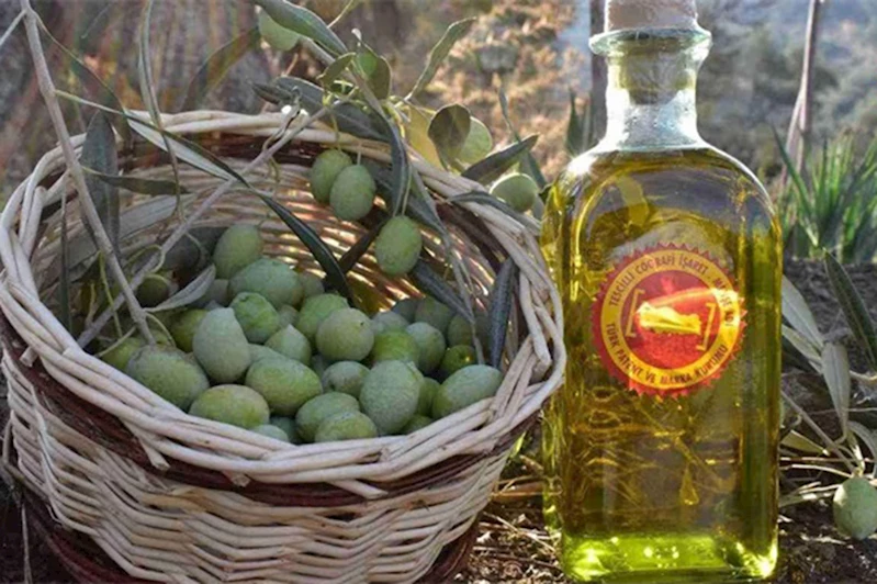 Bakan Yumaklı, Aydın Memecik Zeytininin AB