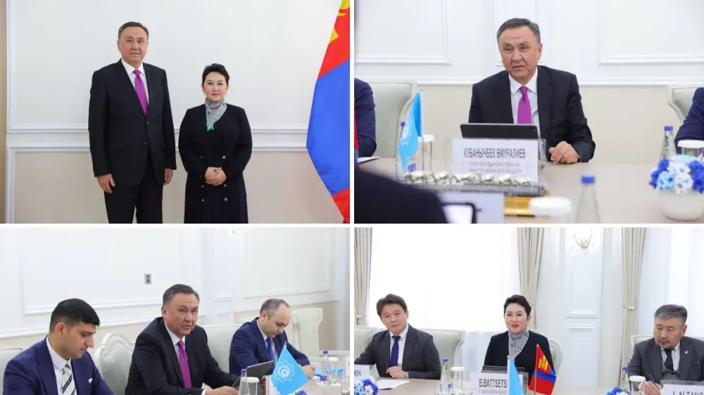 Türk Devletleri Teşkilatı