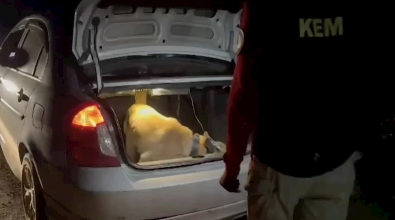 Otomobilde çıkan uyuşturucuya 2 tutuklama  - Videolu Haber