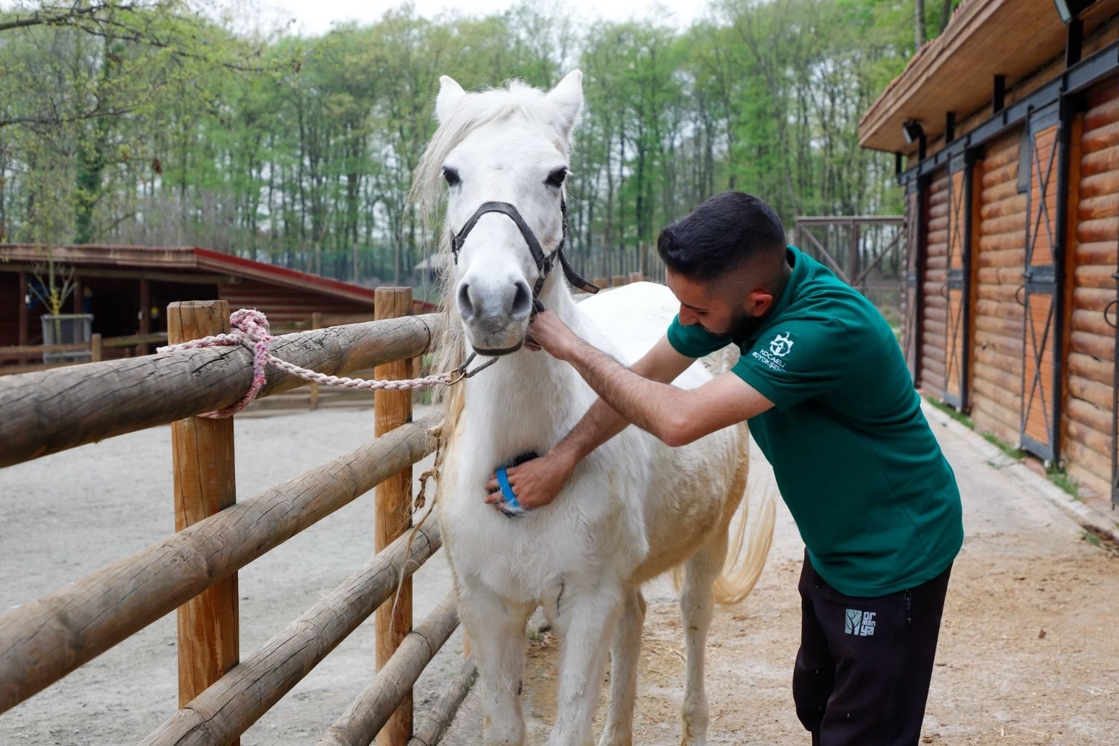 Bayramda doğanın kalbi Ormanya’da atacak