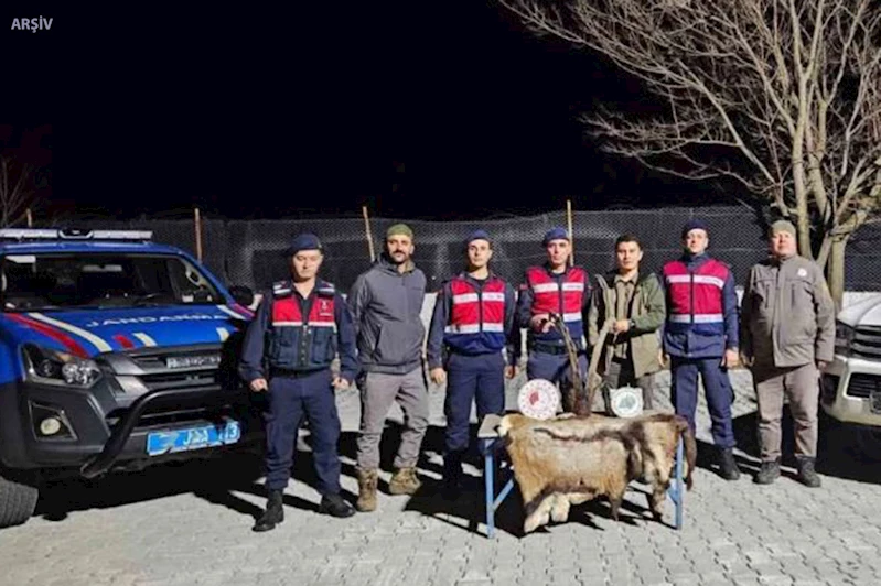 Yaban keçisi avına 673 bin lira ceza