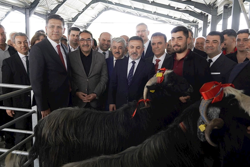 Bakanlık projesi ile Kozan, modern canlı hayvan pazar yerine kavuştu