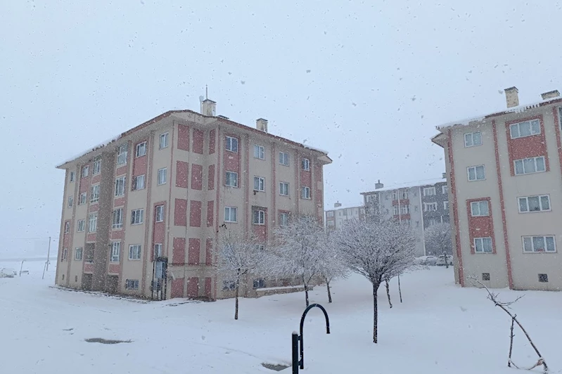Bitlis’te kar yağışı hayatı olumsuz etkiliyor