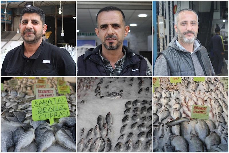 Balık sezonu sona erdi, esnaf gelecek sezona umutla bakıyor