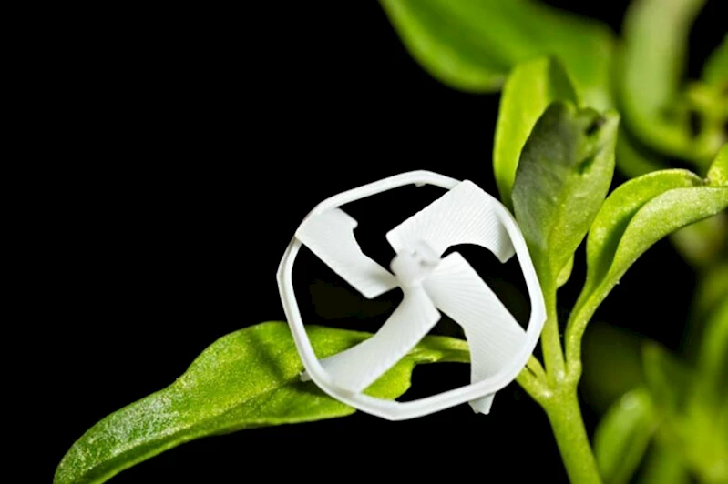 Çapı bir santimetreden daha küçük robot icat edildi