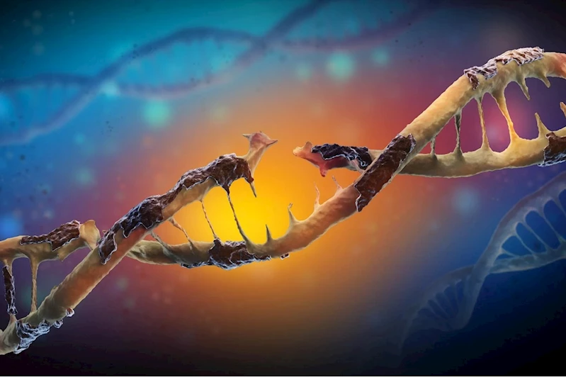 DNA’mız her gün saldırı altında!