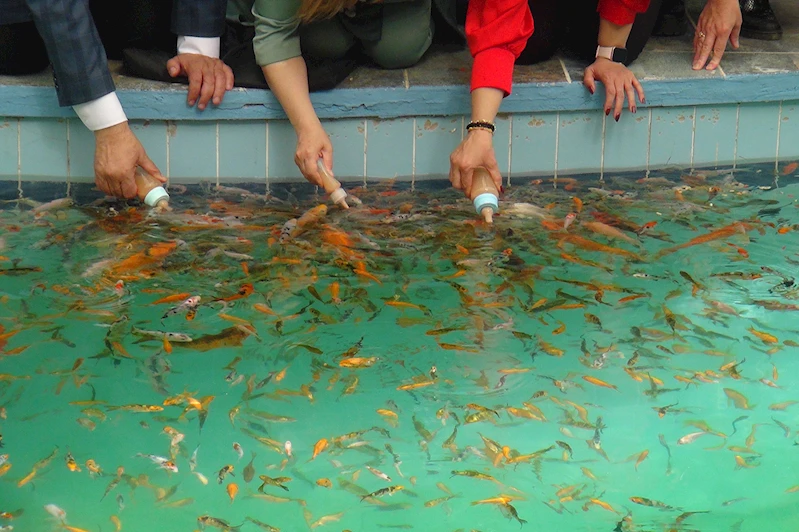 Gaziantep Hayvanat Bahçesi