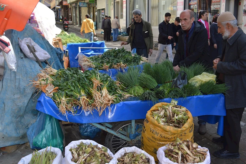 Baharın şifası soryaz, kenger ve sirik otu tezgahlarda 
