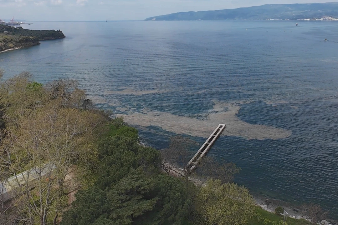 Müsilaj Gemlik Körfezi